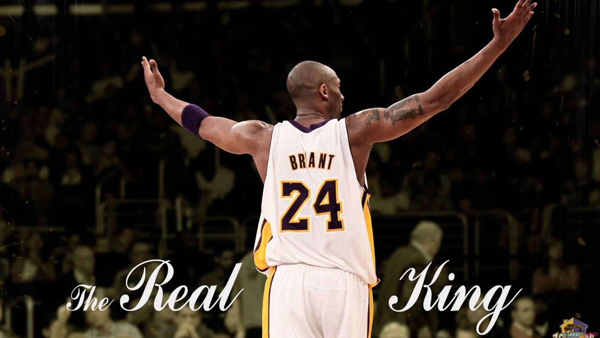 克洛普战术棋局中的神来之笔，加克波导演利物浦轻取阿森纳，诠释何为关键先生